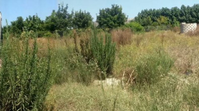 Valencia - Sueca - 2000m2