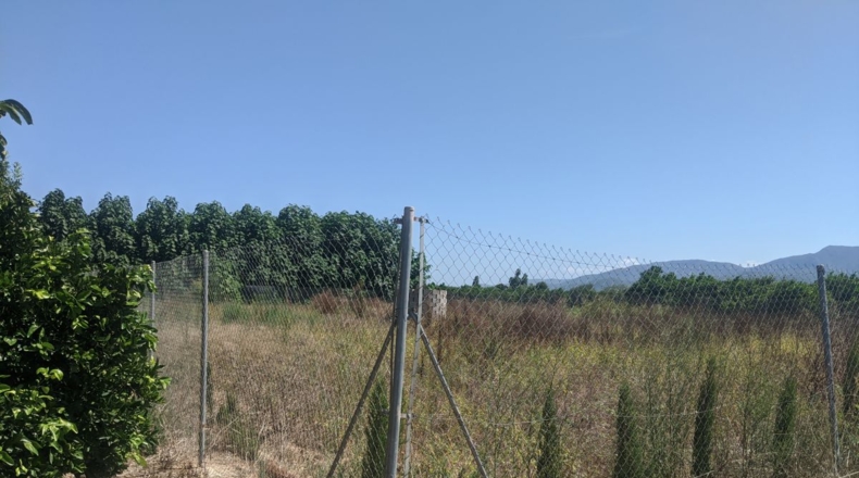 Valencia - Sueca - 2000m2