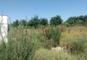 Rural estate for sale in Sueca ref: TR100787 photo
