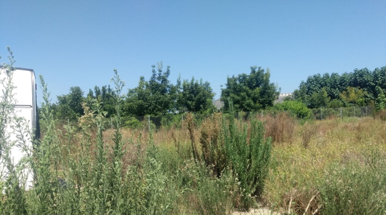 Valencia - Sueca - 2000m2
