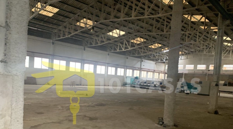 Valencia - Albalat de la Ribera - 3400m2