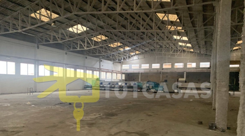 Valencia - Albalat de la Ribera - 3400m2