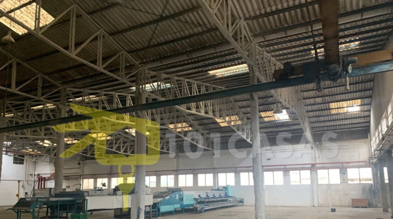 Valencia - Albalat de la Ribera - 3400m2