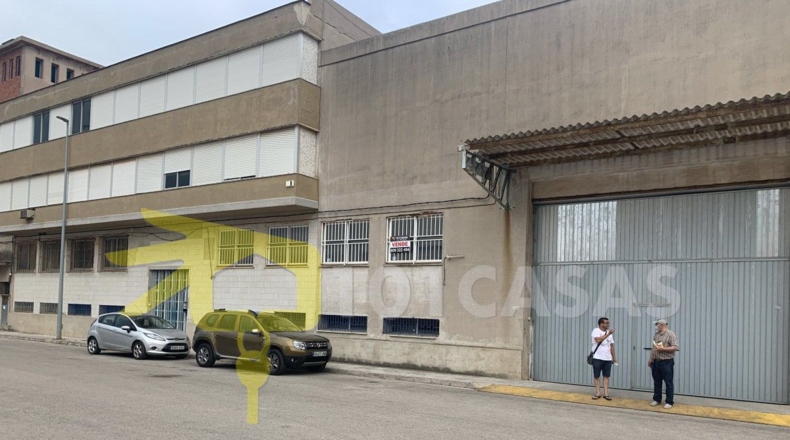 Valencia - Albalat de la Ribera - 3400m2