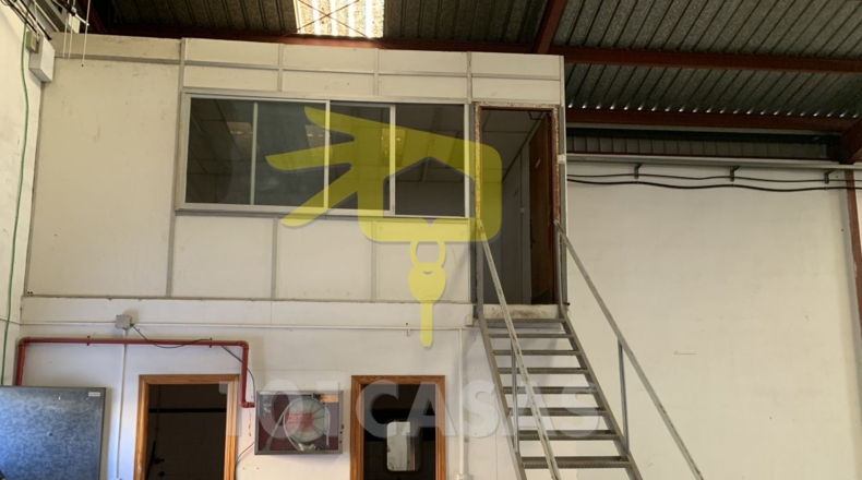 Valencia - Albalat de la Ribera - 500m2