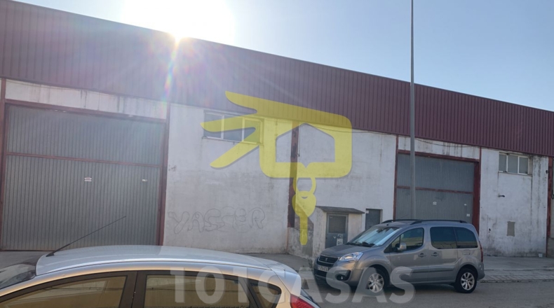 Valencia - Albalat de la Ribera - 500m2