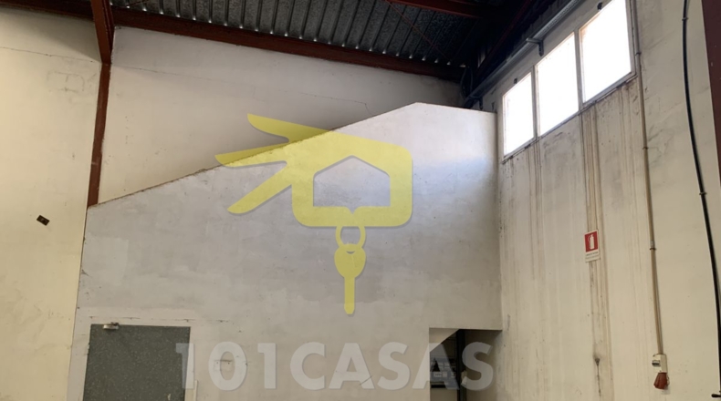 Valencia - Albalat de la Ribera - 500m2