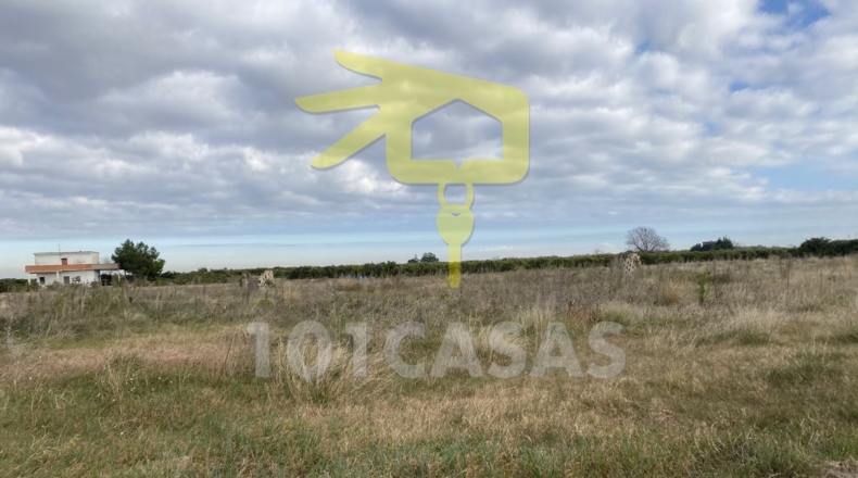 València - Albalat de la Ribera - 17500m2