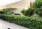 Chalet independiente con terreno en venta en Sueca ref: TR16393 foto