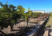 Terreno no urbanizable en venta en Sueca ref: TR32780 foto