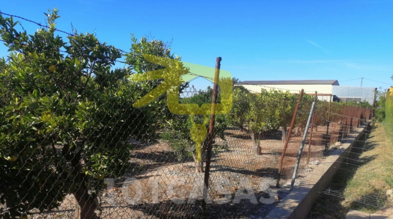 Valencia - Sueca - 3437m2