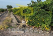 Terreny no urbanitzable en venda a Sueca ref.: TR32779 foto