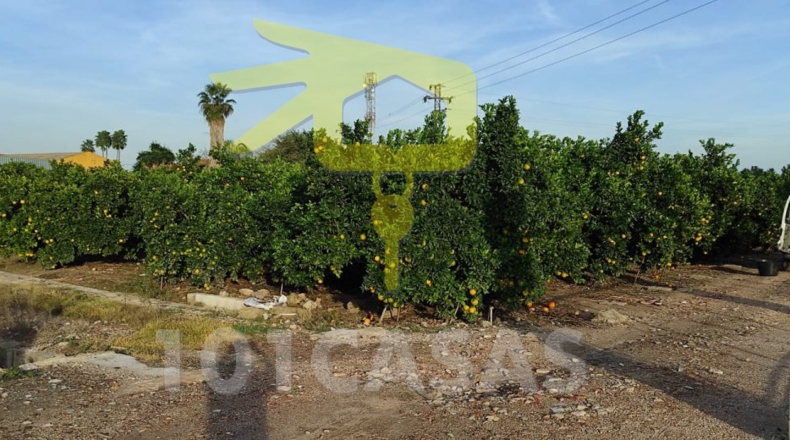 Valencia - Sueca - 1600m2