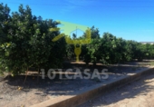 Terreny no urbanitzable en venda a Sueca ref.: TR32779 foto