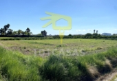 Non-developable land for sale on España, Sueca, ref: TR32777 photo