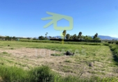 Non-developable land for sale on España, Sueca, ref: TR32777 photo