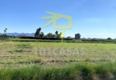 Non-developable land for sale on España, Sueca, ref: TR32777 photo