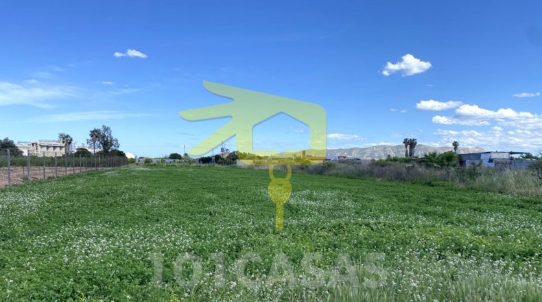 Valencia - Sueca - 2500m2