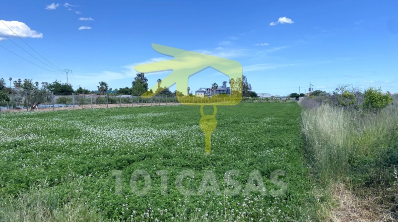 Valencia - Sueca - 2500m2