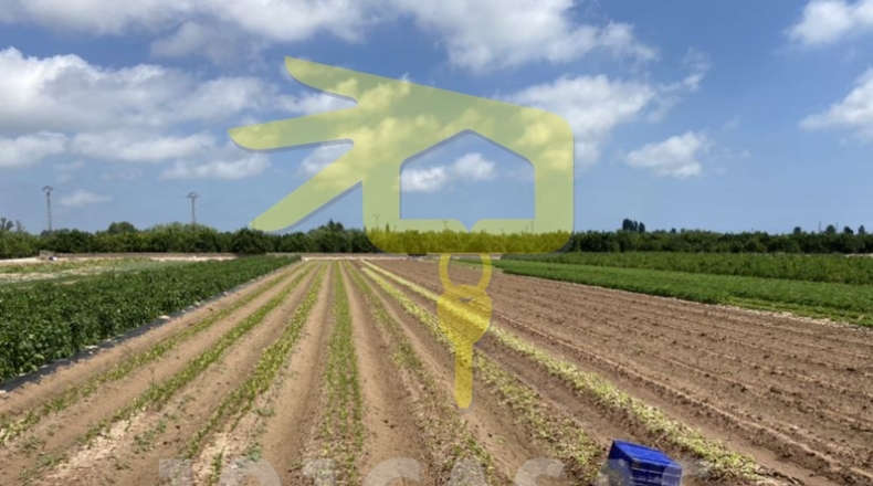 Valencia - Sueca - 9770m2