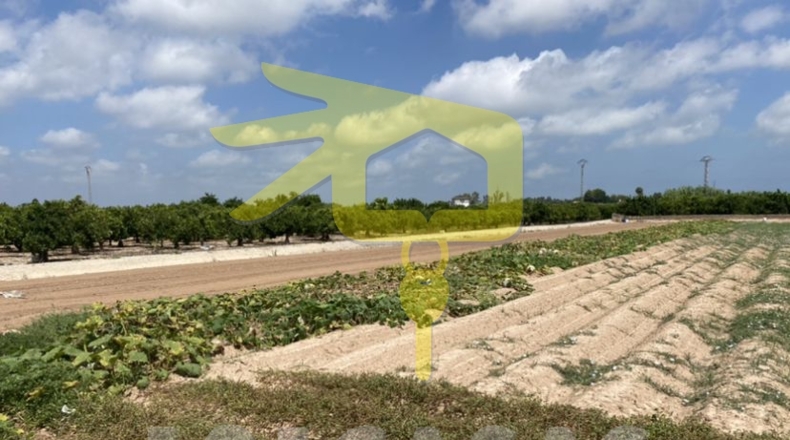 Valencia - Sueca - 9770m2