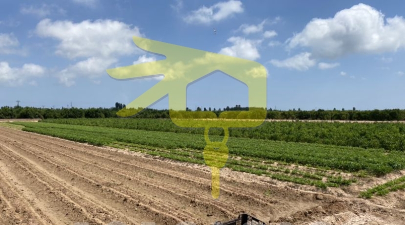 Valencia - Sueca - 9770m2