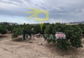 Terreny no urbanitzable en venda a Sueca ref.: TR32772 foto