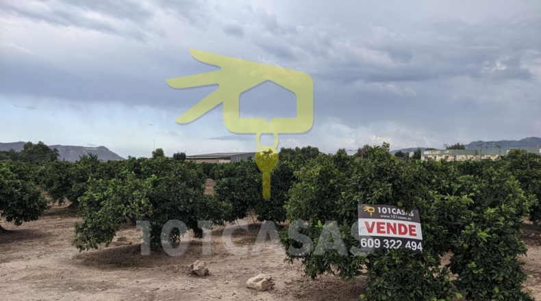 Valencia - Sueca - 4910m2