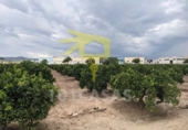 Terreny no urbanitzable en venda a Sueca ref.: TR32772 foto