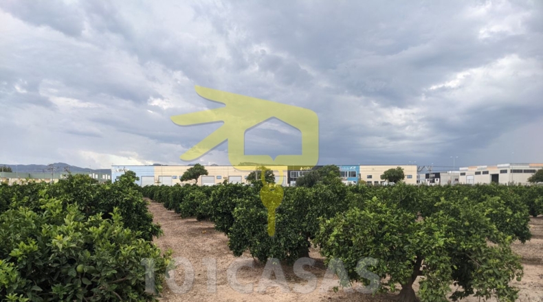 Valencia - Sueca - 4910m2