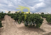 Terreny no urbanitzable en venda a Sueca ref.: TR32772 foto