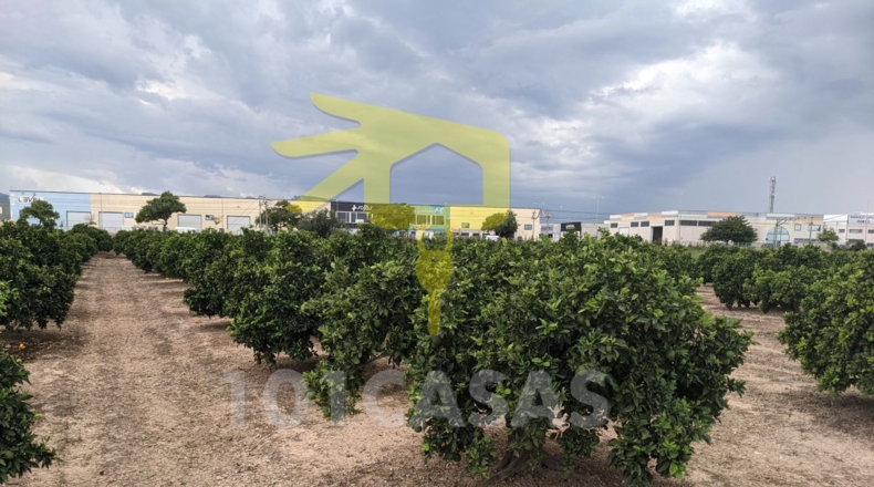 Valencia - Sueca - 4910m2