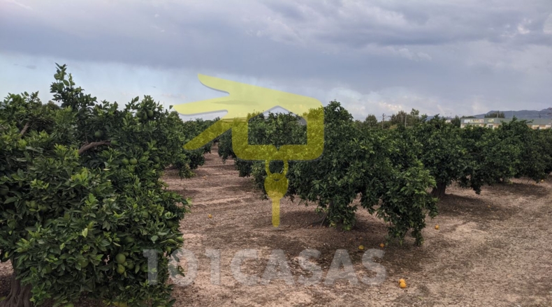 Valencia - Sueca - 4910m2