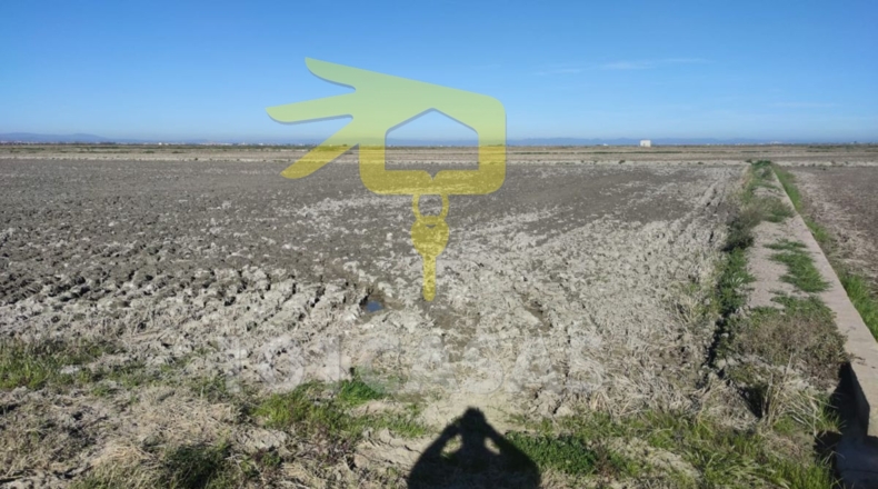 Valencia - Sueca - 5296m2