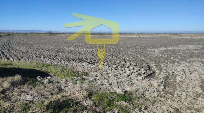 Valencia - Sueca - 5296m2
