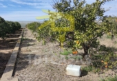 Terreno no urbanizable en venta en Sueca ref: TR37246 foto