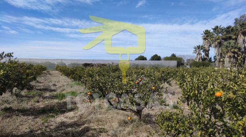 Valencia - Sueca - 1778m2