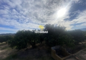 Non-developable land for sale in Sueca ref: TR284741 photo