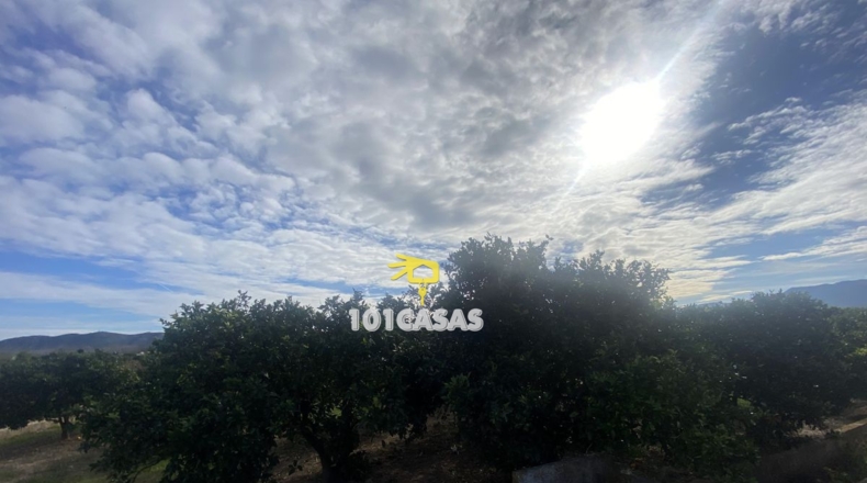 Valencia - Sueca - 1667m2