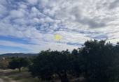 Non-developable land for sale in Sueca ref: TR284741 photo