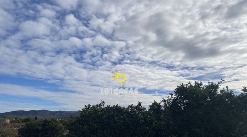 Valencia - Sueca - 1667m2