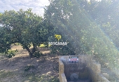 Non-developable land for sale in Sueca ref: TR284741 photo