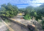 Non-developable land for sale in Sueca ref: TR284741 photo