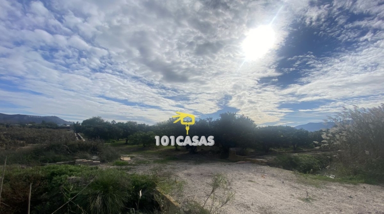 Valencia - Sueca - 1667m2