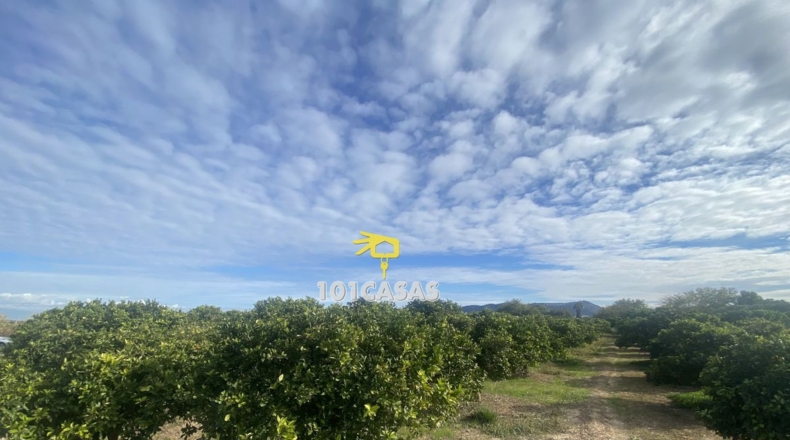 Valencia - Sueca - 1667m2