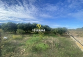 Non-developable land for sale in Sueca ref: TR284741 photo