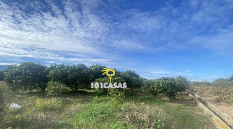Valencia - Sueca - 1667m2