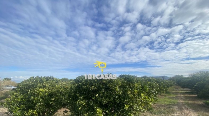 Valencia - Sueca - 1667m2