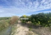 Non-developable land for sale in Sueca ref: TR284741 photo