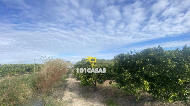 Valencia - Sueca - 1667m2